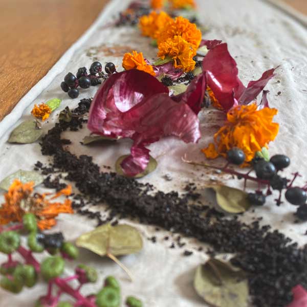 naatural_dye_garden_1